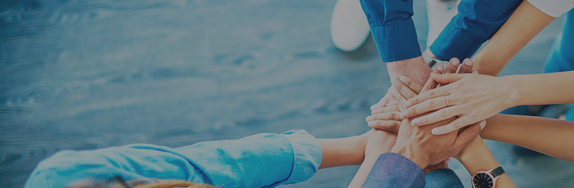 3118云顶集团优势